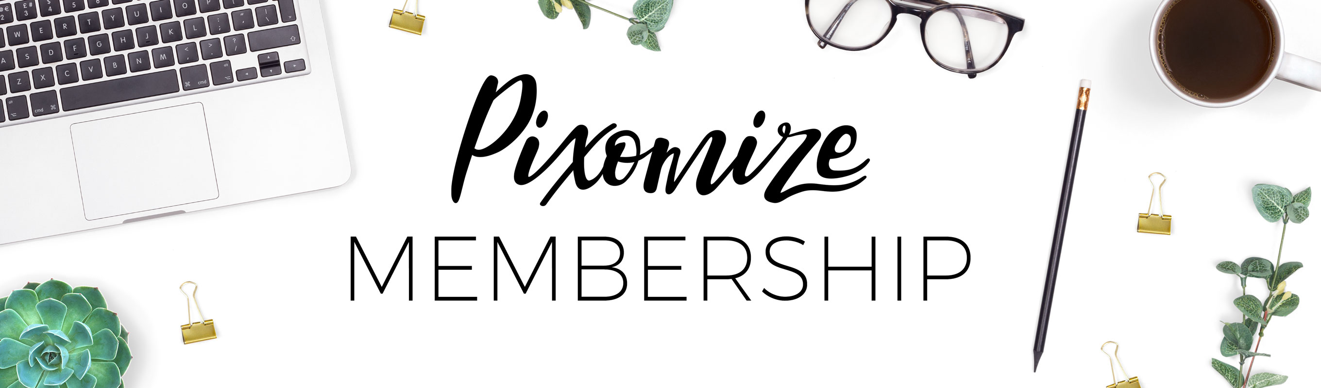 styled stock photo membership