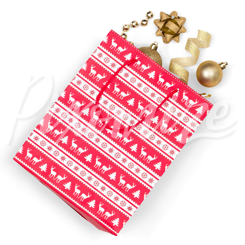 Gift Bag with Christmas Decorations